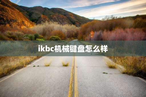 ikbc机械键盘怎么样 rk键盘和ikbc比怎样？