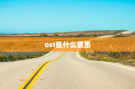 ost是什么意思 ost是啥意思？