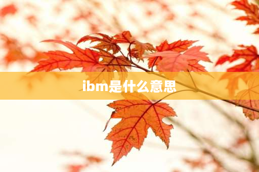 ibm是什么意思 IBM是神马意思？