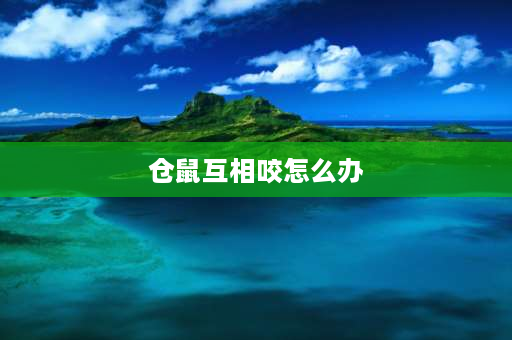 仓鼠互相咬怎么办 仓鼠喜欢咬同伴怎么制止？