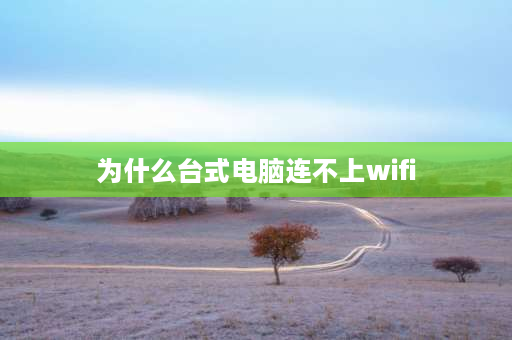 为什么台式电脑连不上wifi wifi有网络但是台式电脑连不上网？