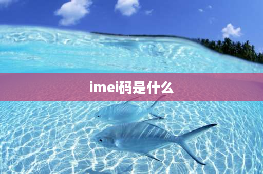 imei码是什么 手机中的IMEI是什么？