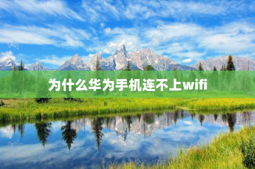 为什么华为手机连不上wifi 为什么华为手机连不上wifi但是别的手机可以连接上？