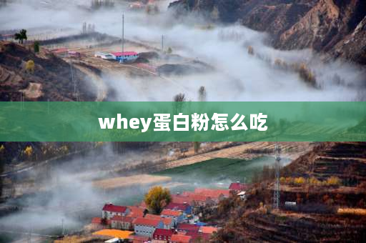 whey蛋白粉怎么吃 whey乳清蛋白是什么牌子？