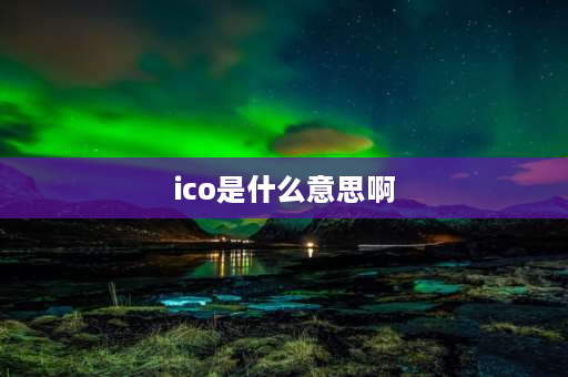 ico是什么意思啊 ico什么意思？