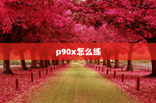 p90x怎么练 荣耀p90和华为nova11选哪个好呢？