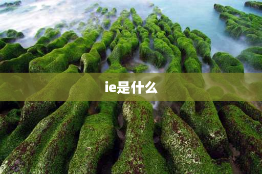 ie是什么 IE的含义是什么？