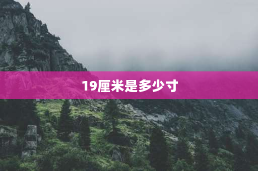 19厘米是多少寸 19厘米是几寸盘子？