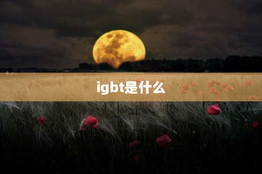 igbt是什么 什么是IGBT？它的作用是什么？