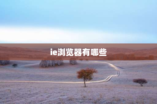 ie浏览器有哪些 ie9.0浏览器是指哪些浏览器？