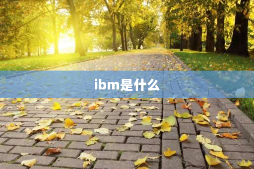 ibm是什么 IBM是啥？