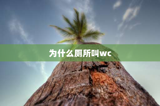 为什么厕所叫wc 为什么厕所我们会称作wc？