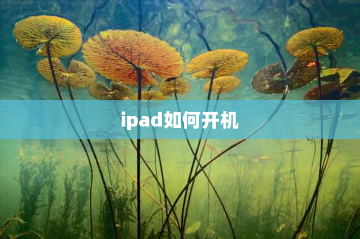 ipad如何开机 ipad按键板怎么开机？