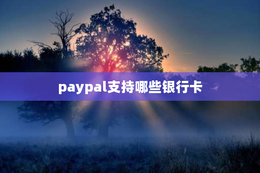 paypal支持哪些银行卡 paypal提现用哪家银行的借记卡划算？