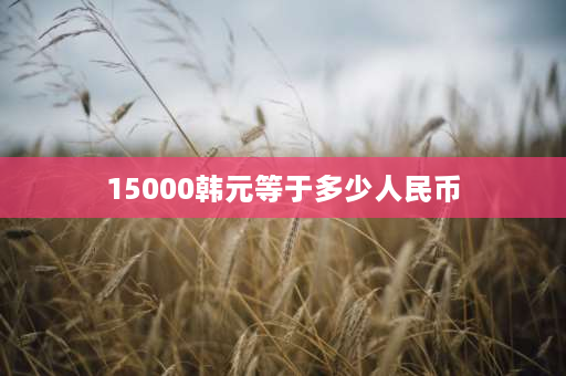 15000韩元等于多少人民币 500万等于多少？