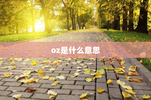 oz是什么意思 计量上oz代表什么？