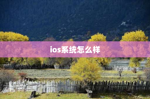 ios系统怎么样 xs升级16.1系统怎么样？