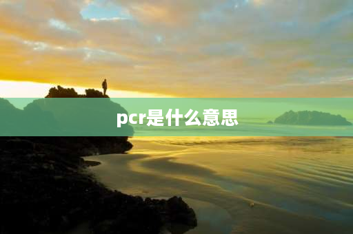 pcr是什么意思 pcr和art检测的区别？