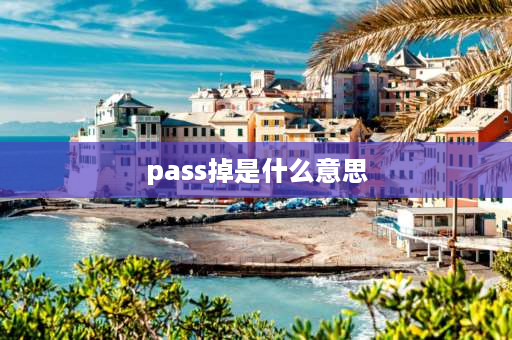 pass掉是什么意思 PASS什么意思？