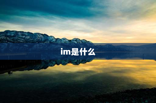 im是什么 im的缩写形式是什么？