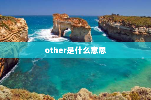 other是什么意思 other和others区别例句？