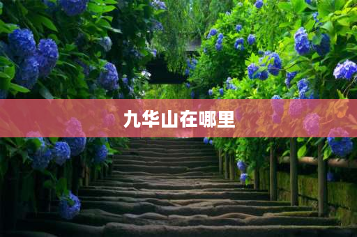 九华山在哪里 九华山财神庙介绍？