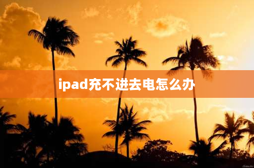 ipad充不进去电怎么办 ipad电充不进去怎么办？