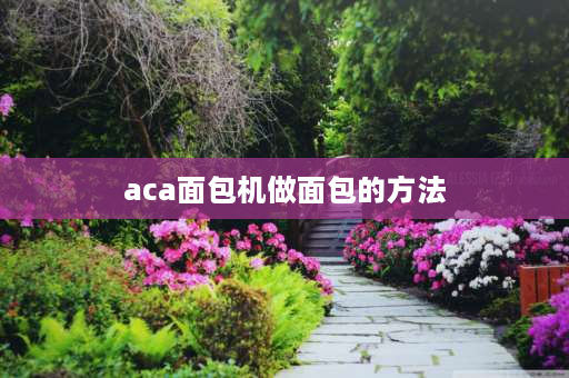 aca面包机做面包的方法 ACA的面包机正确的做法？