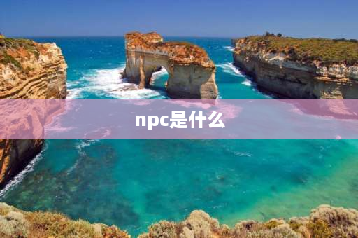 npc是什么 NPC是什么意思啊？