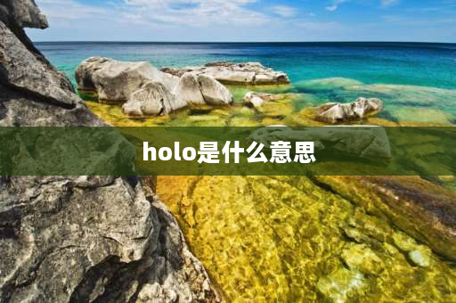 holo是什么意思 鸿昌仪表dt9205n数字万用表上的holo按钮怎样使用？