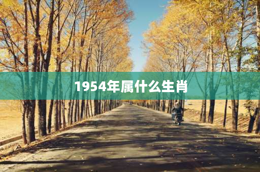 1954年属什么生肖 公历1953年12月生属相？