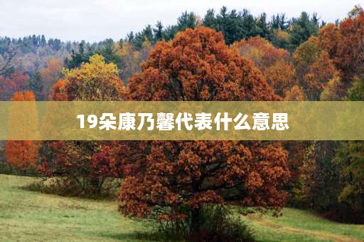 19朵康乃馨代表什么意思 19朵康乃馨和33朵区别？