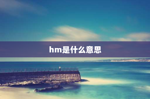 hm是什么意思 hm什么意思？