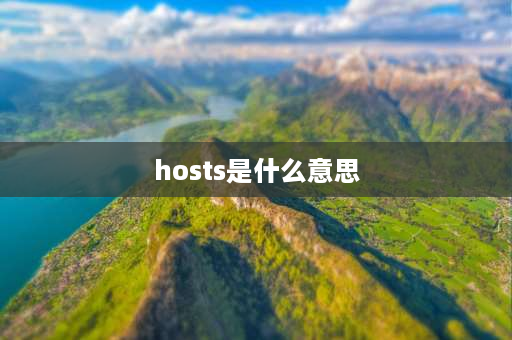 hosts是什么意思 a host of和hosts of的区别？