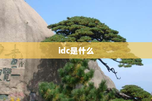 idc是什么 IDC的含义是什么？