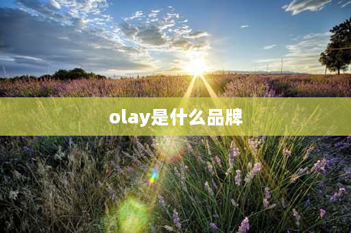 olay是什么品牌 OLAY是什么意思？