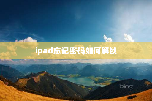 ipad忘记密码如何解锁 Ipad解锁密码忘了？