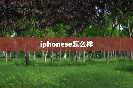 iphonese怎么样 iPhoneSE怎么样？