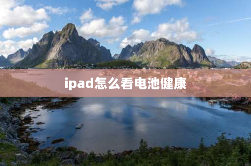 ipad怎么看电池健康 ipad不用电脑怎么看电池寿命？