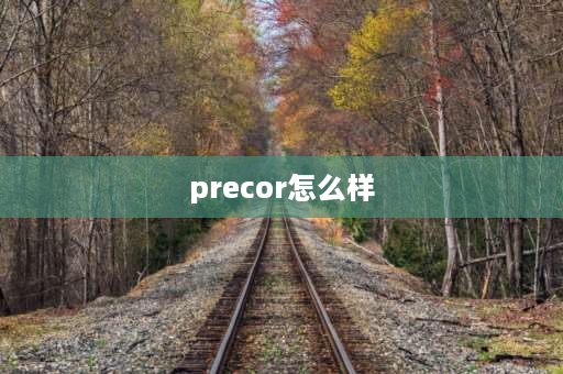 precor怎么样 东莞宏易电子有限公司怎么样？