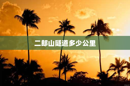 二郎山隧道多少公里 二郎山海拔最高峰？