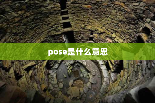 pose是什么意思 POSE是什么意思？