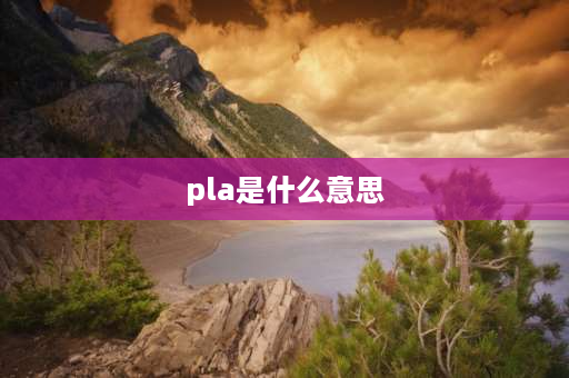 pla是什么意思 加减乘除英文缩写？