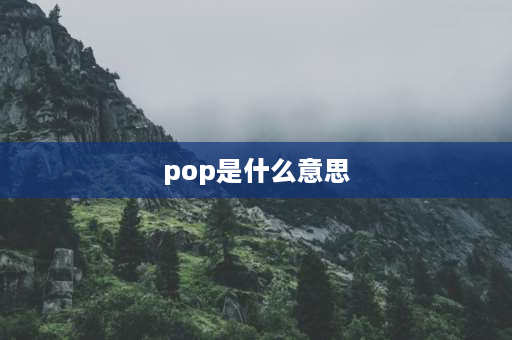 pop是什么意思 什么是POP？