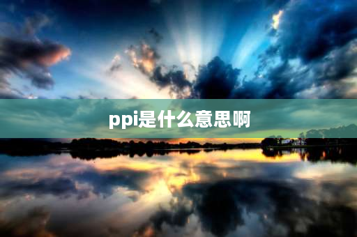 ppi是什么意思啊 ppi网络是什么？