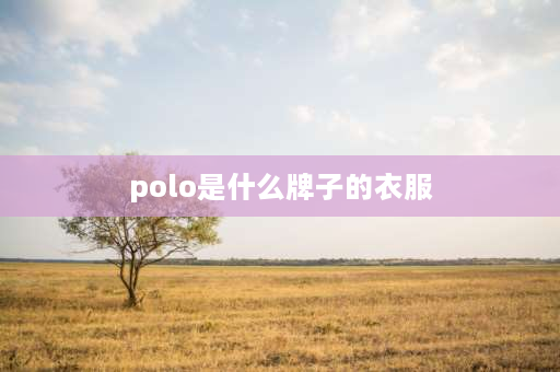 polo是什么牌子的衣服 Polo是什么牌子？