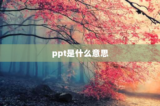 ppt是什么意思 ppt是啥意思？