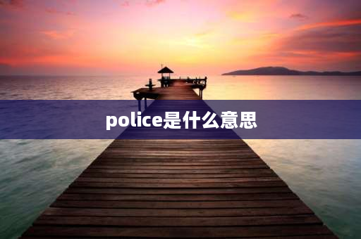 police是什么意思 派出所英文缩写？