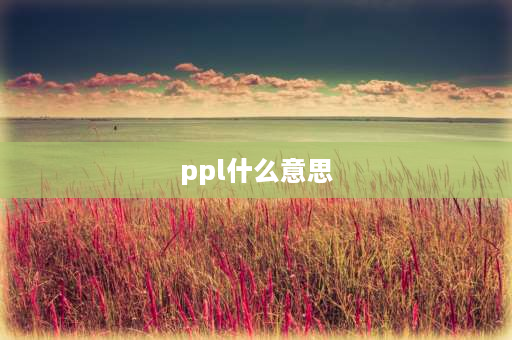 ppl什么意思 PPL什么意思？