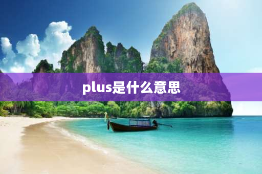 plus是什么意思 plus什么意思？